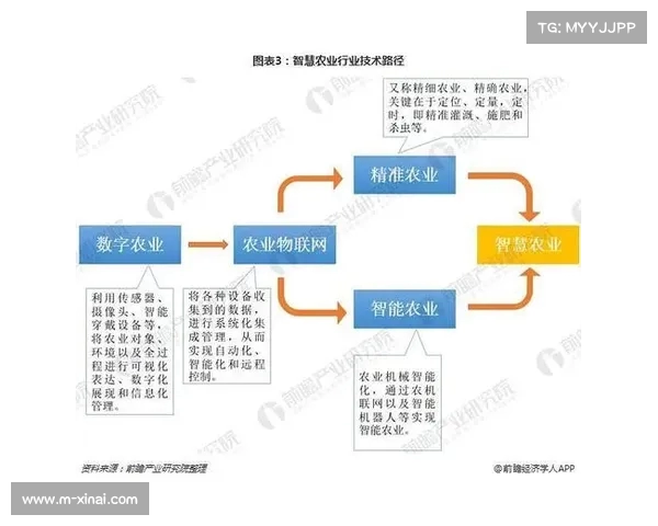 职业体育发展现状分析及未来趋势探讨:挑战、机遇与创新路径 职业体育发展现状分析及未来趋势探讨:挑战、机遇与创新路径